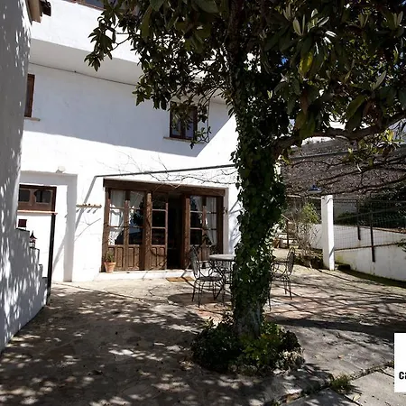 Calabaza&nueces Cazorla