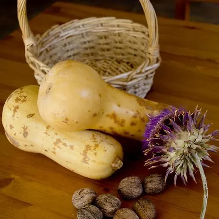منزل ريفي Calabaza & Nueces كازورلا